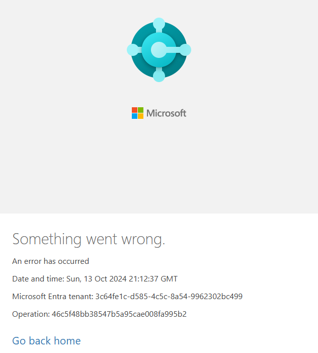Microsoft error page stating Something went wrong during the oversized filter test.